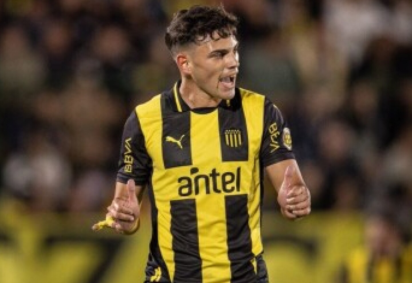 Narruel Herrera / Arezo